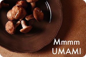 V2.13: Living An Umami Life